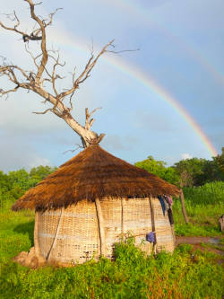 Pays Bedik Aux champs Photo Marc Keita